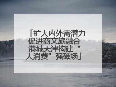 扩大内外需潜力 促进商文旅融合 港城天津构建“大消费”强磁场