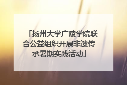 扬州大学广陵学院联合公益组织开展非遗传承暑期实践活动