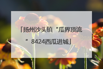 扬州沙头镇“瓜界顶流”8424西瓜进城