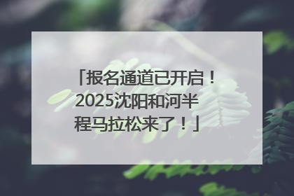 报名通道已开启！2025沈阳和河半程马拉松来了！