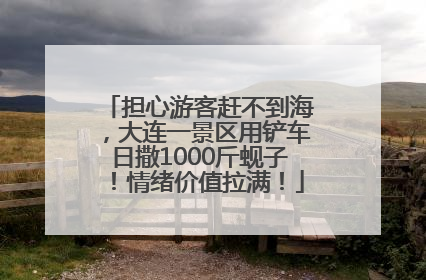 担心游客赶不到海，大连一景区用铲车日撒1000斤蚬子！情绪价值拉满！