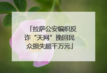 拉萨公安编织反诈“天网”挽回民众损失超千万元
