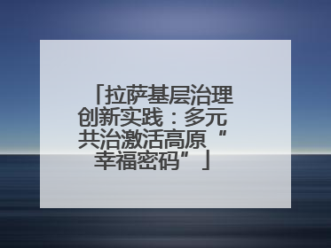 拉萨基层治理创新实践：多元共治激活高原“幸福密码”