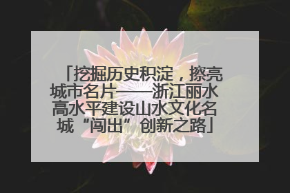 挖掘历史积淀，擦亮城市名片——浙江丽水高水平建设山水文化名城“闯出”创新之路