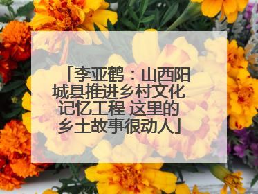 李亚鹤：山西阳城县推进乡村文化记忆工程 这里的乡土故事很动人