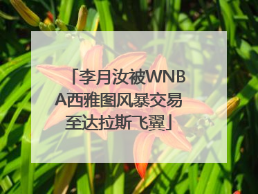 李月汝被WNBA西雅图风暴交易至达拉斯飞翼