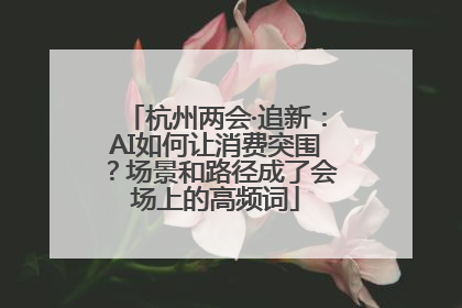 杭州两会·追新：AI如何让消费突围？场景和路径成了会场上的高频词