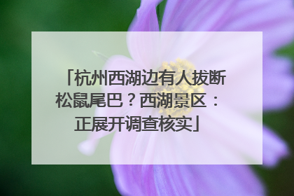 杭州西湖边有人拔断松鼠尾巴？西湖景区：正展开调查核实