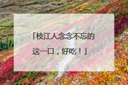 枝江人念念不忘的这一口，好吃！