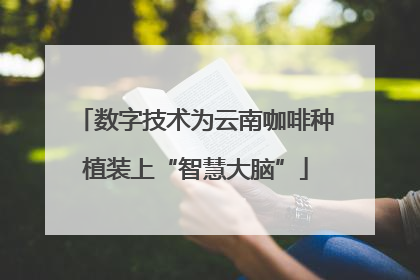 数字技术为云南咖啡种植装上“智慧大脑”