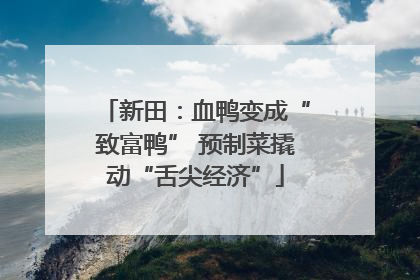 新田：血鸭变成“致富鸭” 预制菜撬动“舌尖经济”