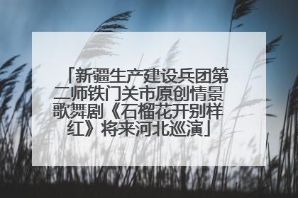 新疆生产建设兵团第二师铁门关市原创情景歌舞剧《石榴花开别样红》将来河北巡演