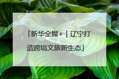 新华全媒+｜辽宁打造跨境文旅新生态