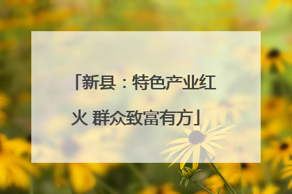 新县：特色产业红火 群众致富有方