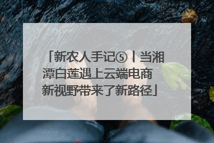 新农人手记⑤丨当湘潭白莲遇上云端电商 新视野带来了新路径