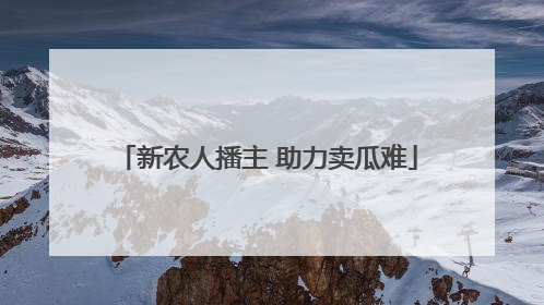 新农人播主 助力卖瓜难