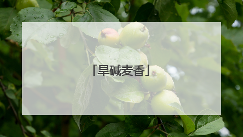 旱碱麦香