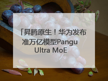 昇腾原生！华为发布准万亿模型Pangu Ultra MoE模型架构和训练细节