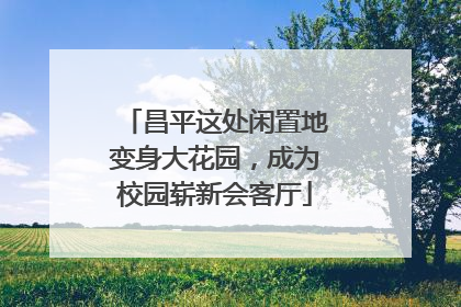昌平这处闲置地变身大花园，成为校园崭新会客厅