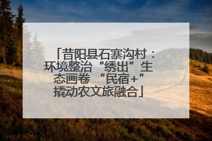 昔阳县石寨沟村：环境整治“绣出”生态画卷 “民宿+”撬动农文旅融合