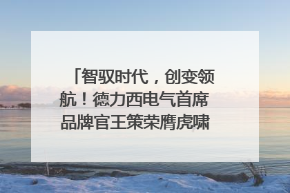智驭时代，创变领航！德力西电气首席品牌官王策荣膺虎啸奖年度品牌人物