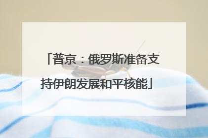 普京：俄罗斯准备支持伊朗发展和平核能