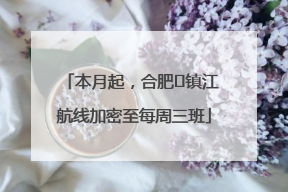 本月起，合肥⇋镇江航线加密至每周三班