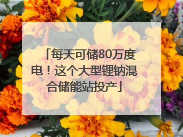 每天可储80万度电！这个大型锂钠混合储能站投产