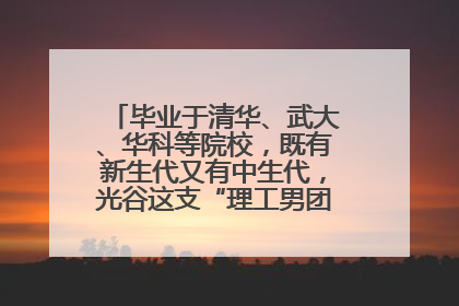 毕业于清华、武大、华科等院校，既有新生代又有中生代，光谷这支“理工男团”为何“出道”？