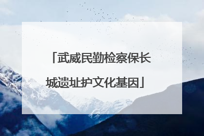 武威民勤检察保长城遗址护文化基因