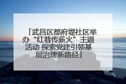 武昌区都府堤社区举办“红巷传薪火”主题活动 探索党建引领基层治理新路径