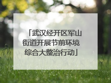 武汉经开区军山街道开展节前环境综合大整治行动