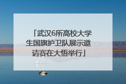 武汉6所高校大学生国旗护卫队展示邀请赛在大悟举行