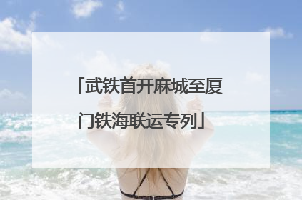 武铁首开麻城至厦门铁海联运专列
