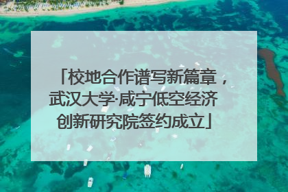校地合作谱写新篇章，武汉大学·咸宁低空经济创新研究院签约成立
