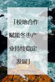校地合作赋能冬枣产业持续稳定发展