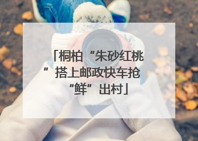 桐柏“朱砂红桃”搭上邮政快车抢“鲜”出村