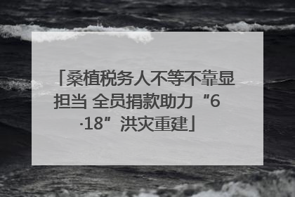 桑植税务人不等不靠显担当 全员捐款助力“6·18”洪灾重建