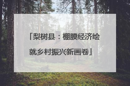 梨树县：棚膜经济绘就乡村振兴新画卷