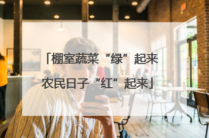 棚室蔬菜“绿”起来 农民日子“红”起来