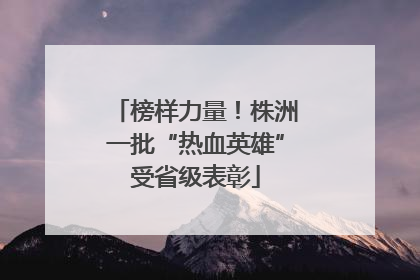 榜样力量！株洲一批“热血英雄”受省级表彰