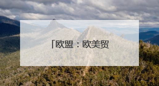 欧盟：欧美贸易谈判前景面临不确定性