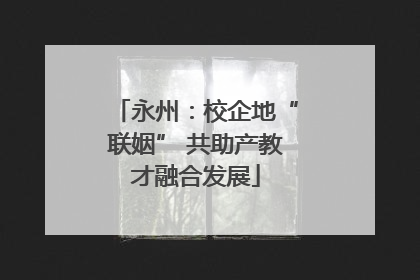 永州：校企地“联姻” 共助产教才融合发展