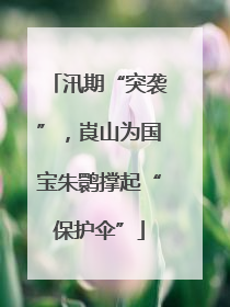 汛期“突袭”，崀山为国宝朱鹮撑起“保护伞”