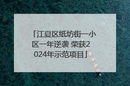 江夏区纸坊街一小区一年逆袭 荣获2024年示范项目