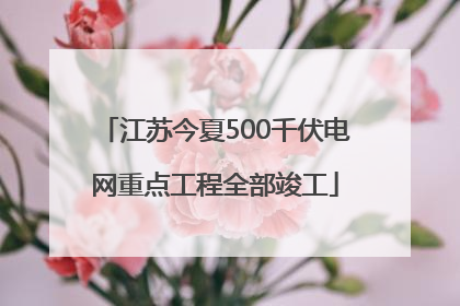 江苏今夏500千伏电网重点工程全部竣工