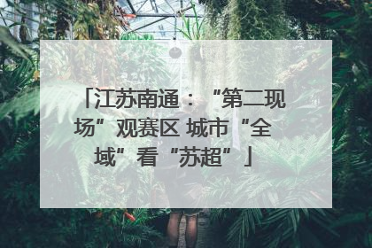 江苏南通：“第二现场”观赛区 城市“全域”看“苏超”