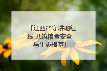 江西严守耕地红线 共筑粮食安全与生态根基