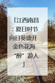 江西南昌：夏日时节向日葵盛开 金色花海“醉”游人