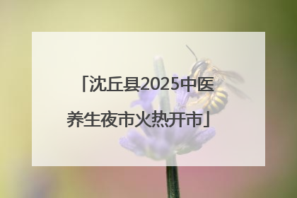 沈丘县2025中医养生夜市火热开市